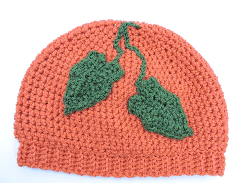 Pumpkin Patch Hat CrochetKim Free Crochet Pattern