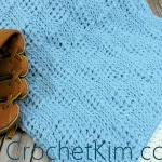 Bluebell Baby Blanket Free Tunisian Crochet Pattern