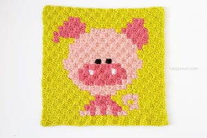 Crochet Pig