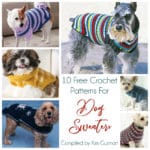 Roundup: 10 Free Crochet Dog Sweater Patterns