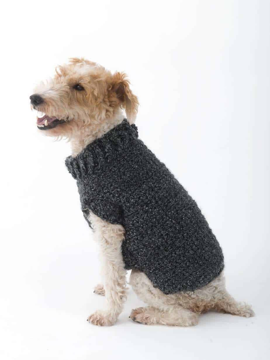 Roundup: 10 Free Crochet Dog Sweater Patterns - CrochetKim™