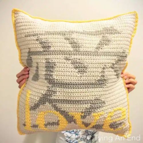 The Love Crochet Throw Pillow by Tying an End